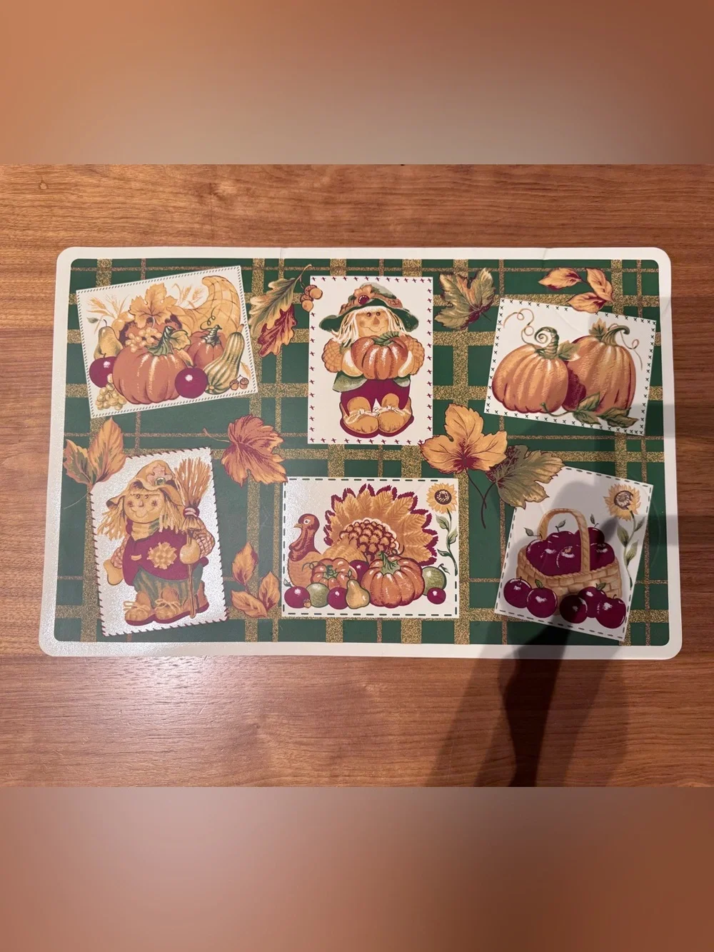 Vintage Elrene Bountiful Harvest Fall Vinyl Placemats Set of 4 17x11